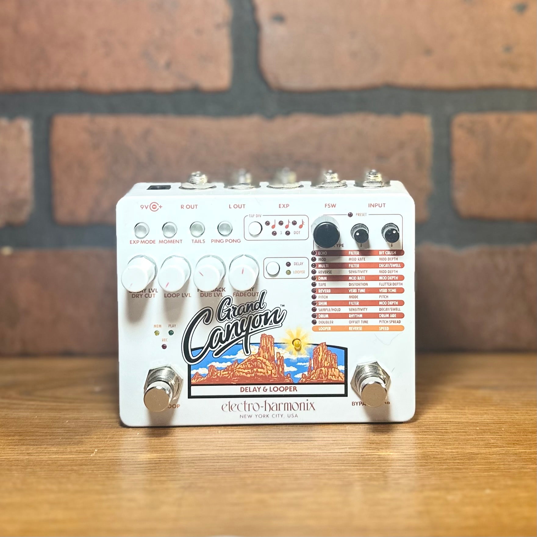 Electro-Harmonix Grand Canyon Delay and Looper