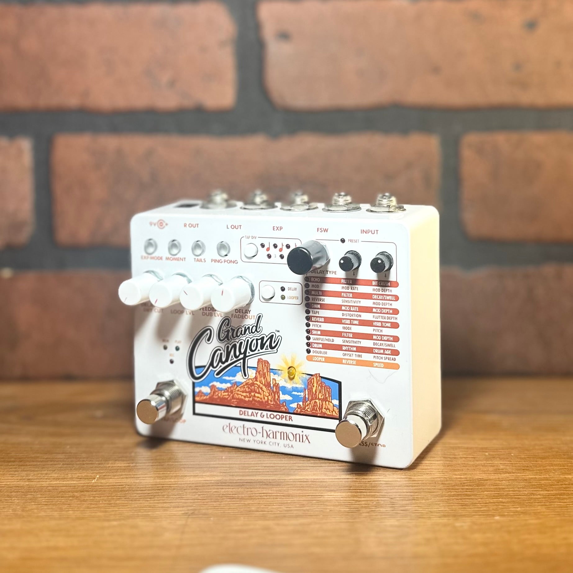 Electro-Harmonix Grand Canyon Delay and Looper